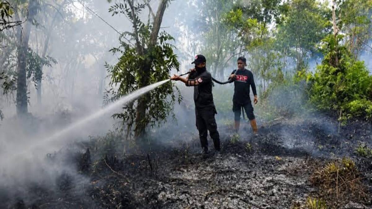 Waspada Bahaya Kualitas Udara Kalteng Tidak Sehat 51 images 2026 09 03T181429.534