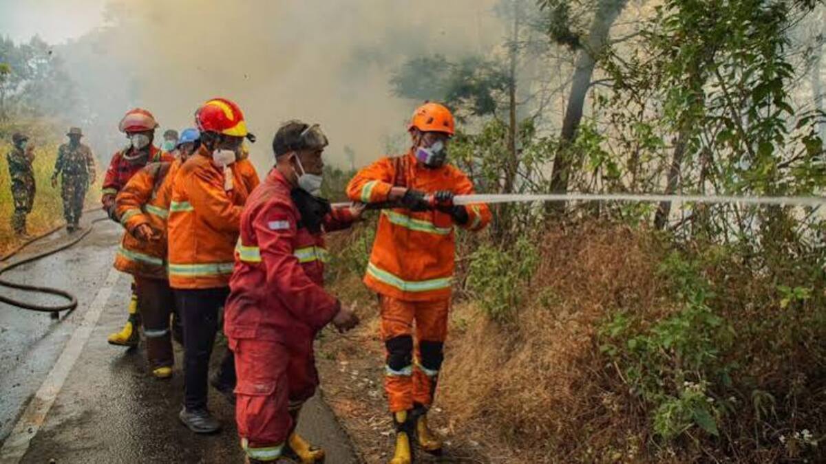 Darurat! Relawan Pemadam Kebakaran Bromo Keluhkan Gangguan Pernapasan Akibat Asap 53 images 2026 09 14T173527.894