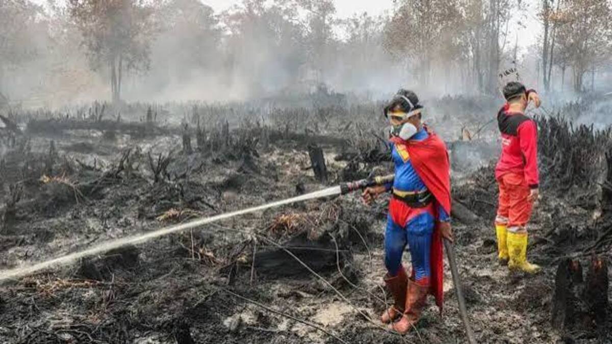 Kebakaran Lahan TPS di Cidadap Bandung 4 Lansia Darurat Mencekam Akibat Musibah Parah Ini 53 images 2026 09 15T140514.403