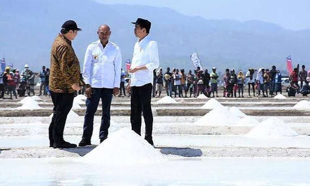 Presiden Joko Widodo dan rombongan meninjau langsung area tambak garam rakyat