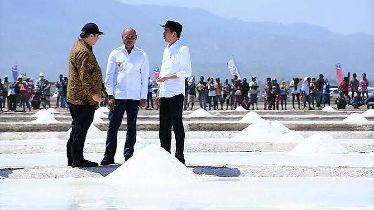 Mengejutkan! Impor Garam Indonesia Tembus 2,6 Juta Ton Akibat Produksi Lokal Rendah 51 Presiden Joko Widodo dan rombongan meninjau langsung area tambak garam rakyat