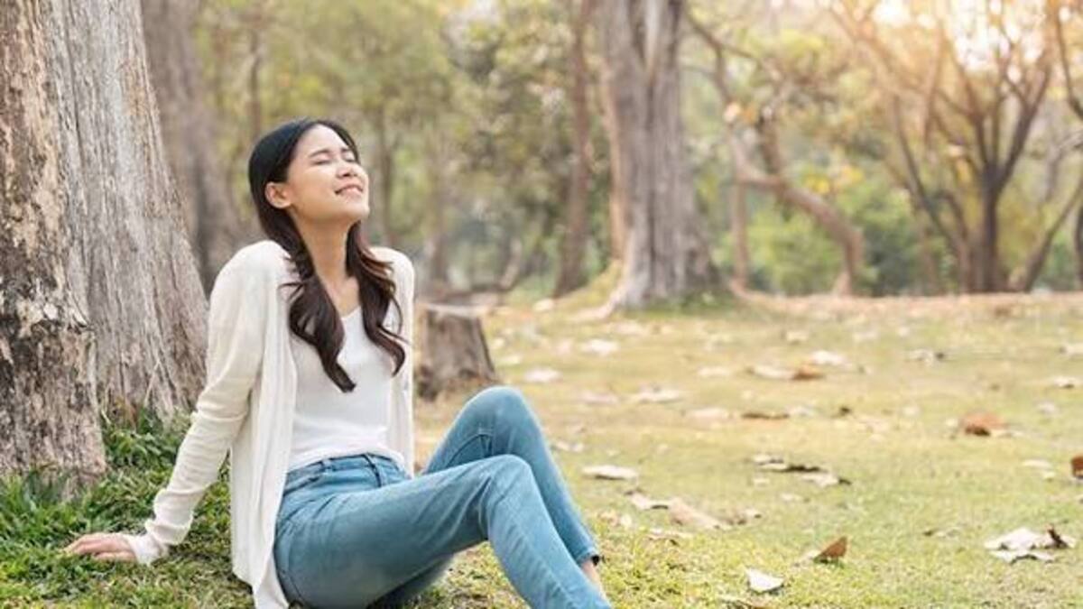 Rahasia Menakjubkan, Manfaat Sinar Matahari Pagi untuk Energi dan Mood Berlimpah 53 images 74