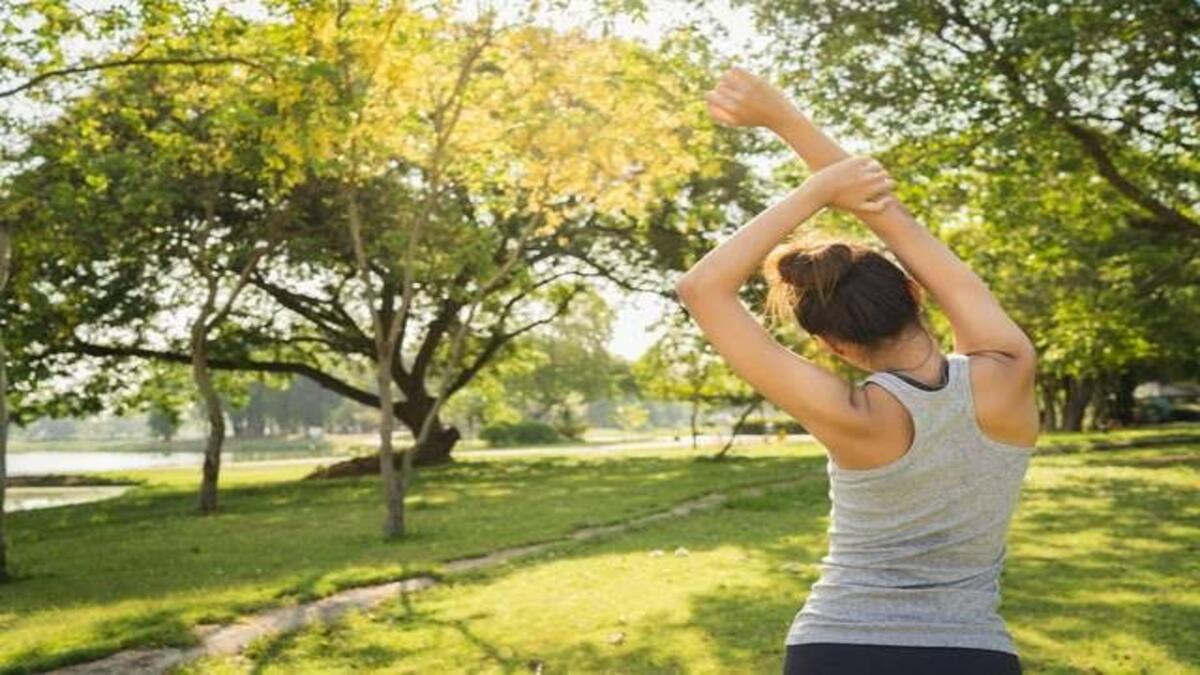 Rahasia Menakjubkan, Manfaat Sinar Matahari Pagi untuk Energi dan Mood Berlimpah 51 images 75