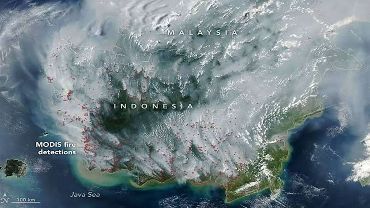 Kepulan Asap Karhutla Kalimantan Terpantau 1 Satelit NASA