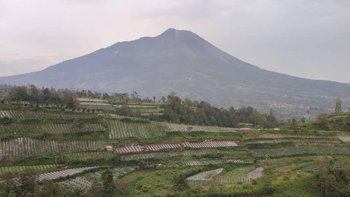 Dahsyat! Yogyakarta Siapkan Mitigasi Pantau Peningkatan Aktivitas Merapi 53 images 86