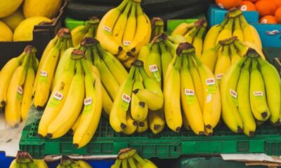 pisang