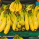 pisang