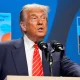 trump rubio nato